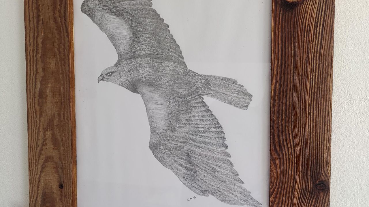 Adler Adler